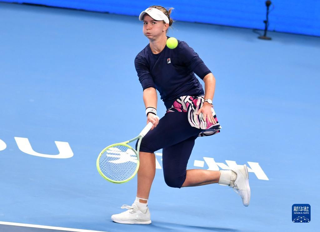 的双重博弈 的双重博弈